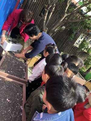 QQ图片20190511182046.jpg