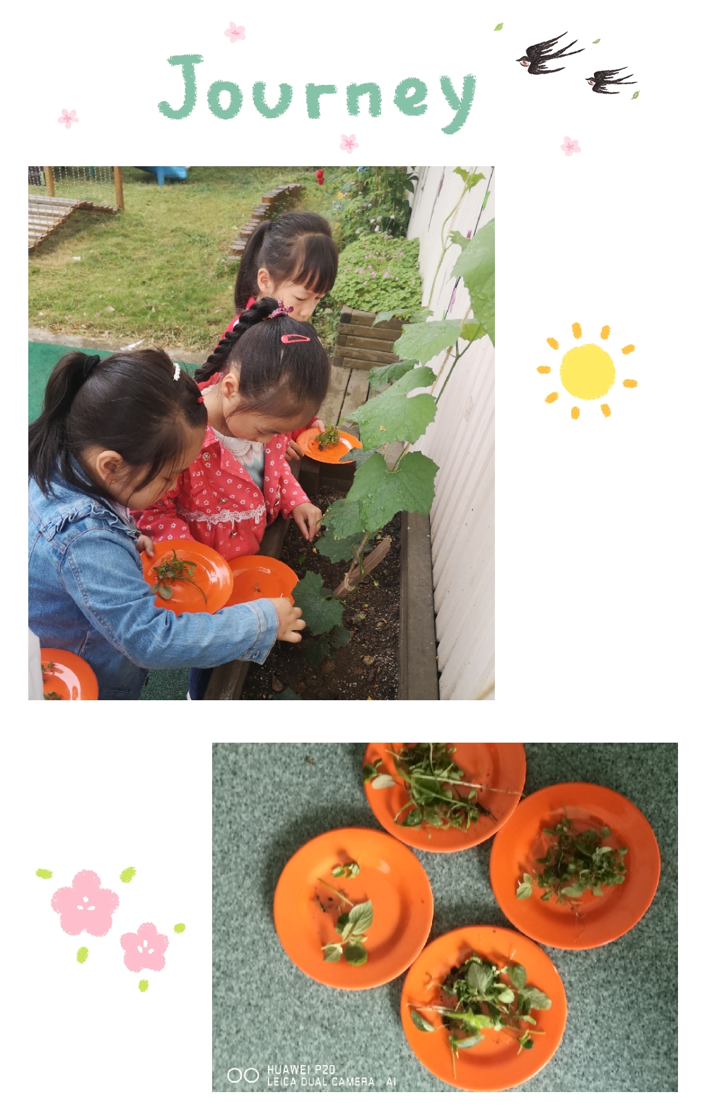 pt2019_05_15_09_23_31.jpg