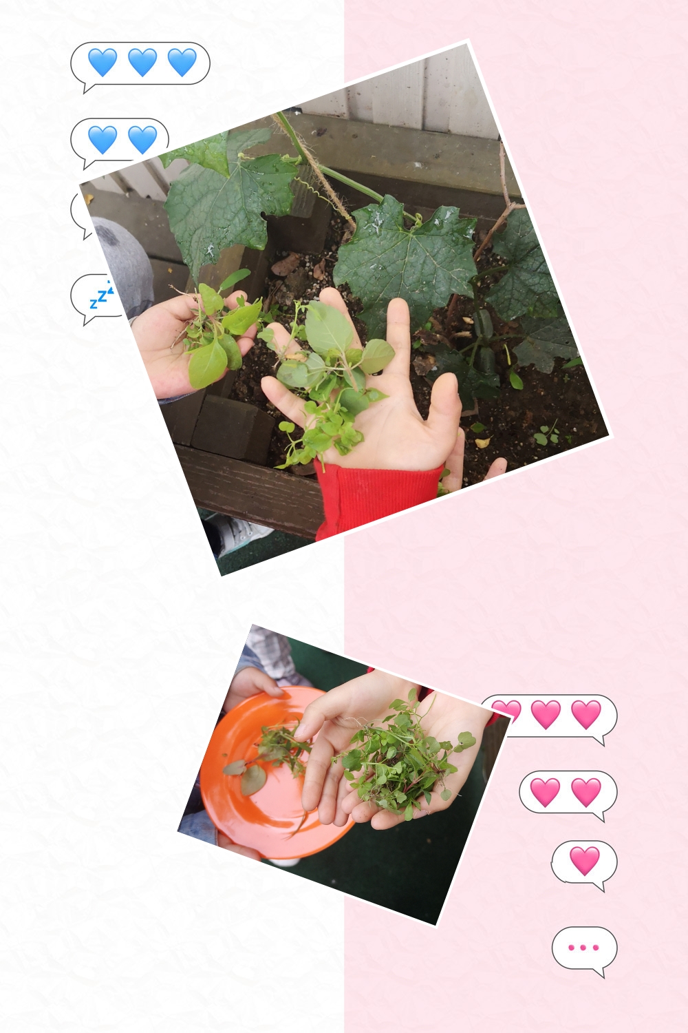 pt2019_05_15_09_25_24.jpg